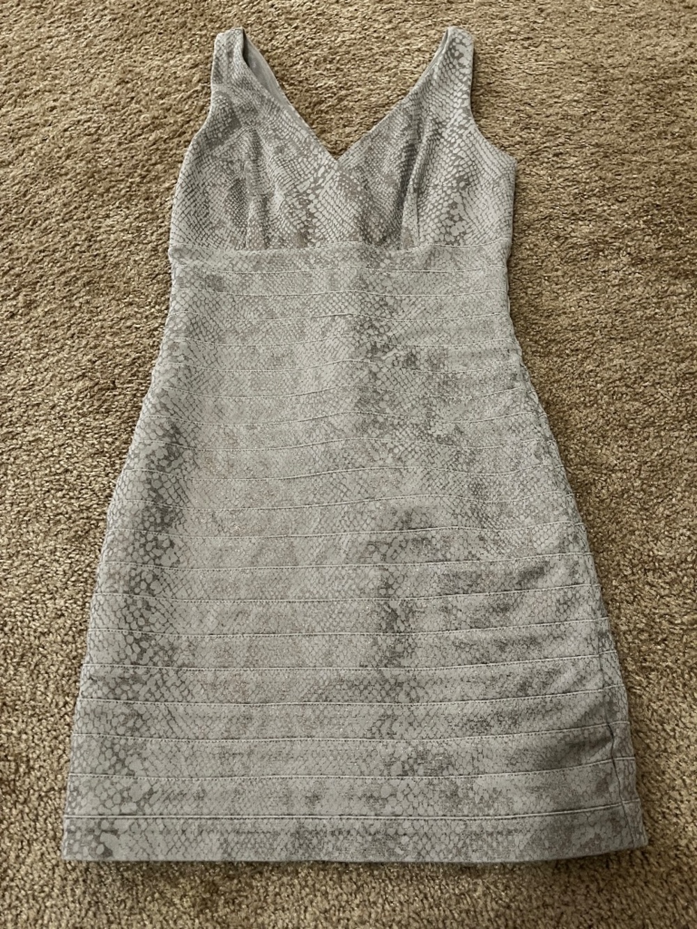 Express Stretch Dress